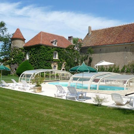 Chateau De Ribourdin Chevannes  Экстерьер фото