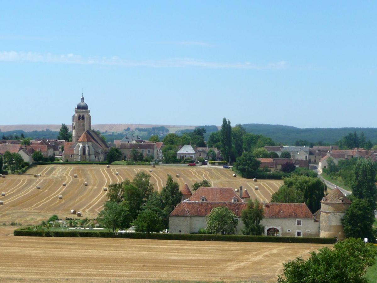 Chateau De Ribourdin Chevannes  Экстерьер фото